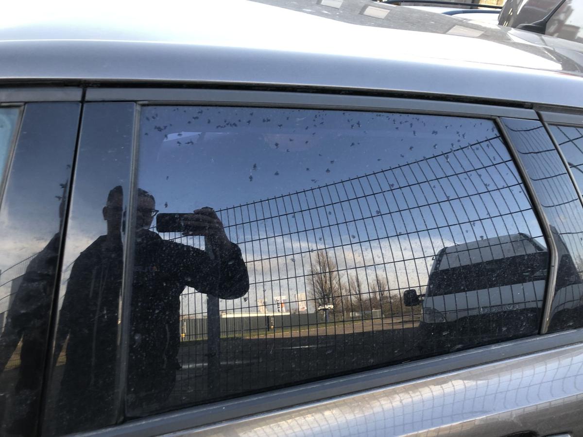 Peugeot 308 SW T9 T&uuml;rscheibe hinten links foliert Seitenscheibe get&ouml;nt