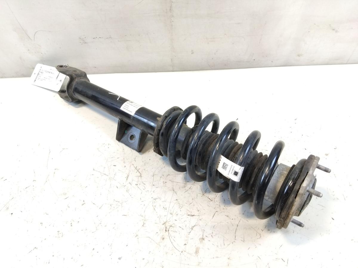 Tesla Model Y RWD original Federbein Vorderachse links BJ2023