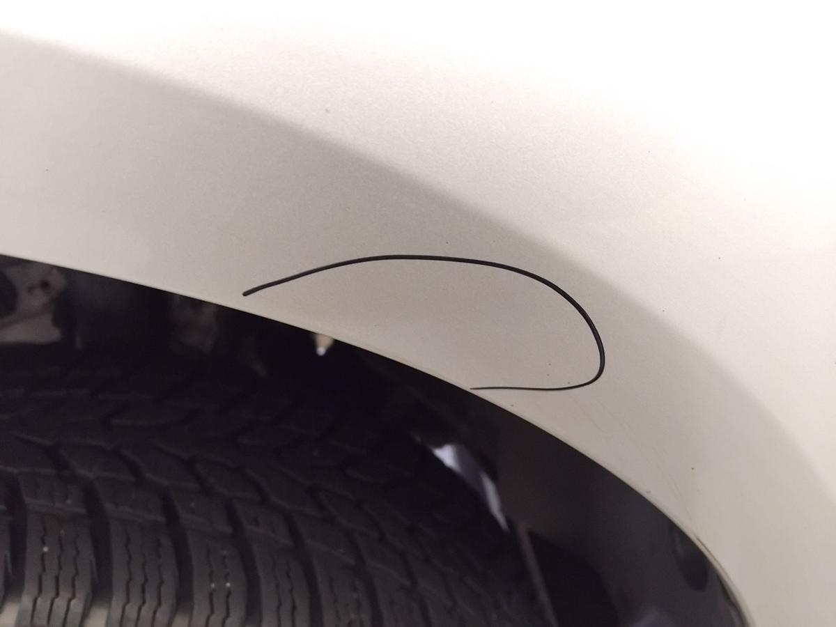 Ford Focus 3 DYB original Kotfl&uuml;gel vorn links Polar-Silber Metallic BJ2012