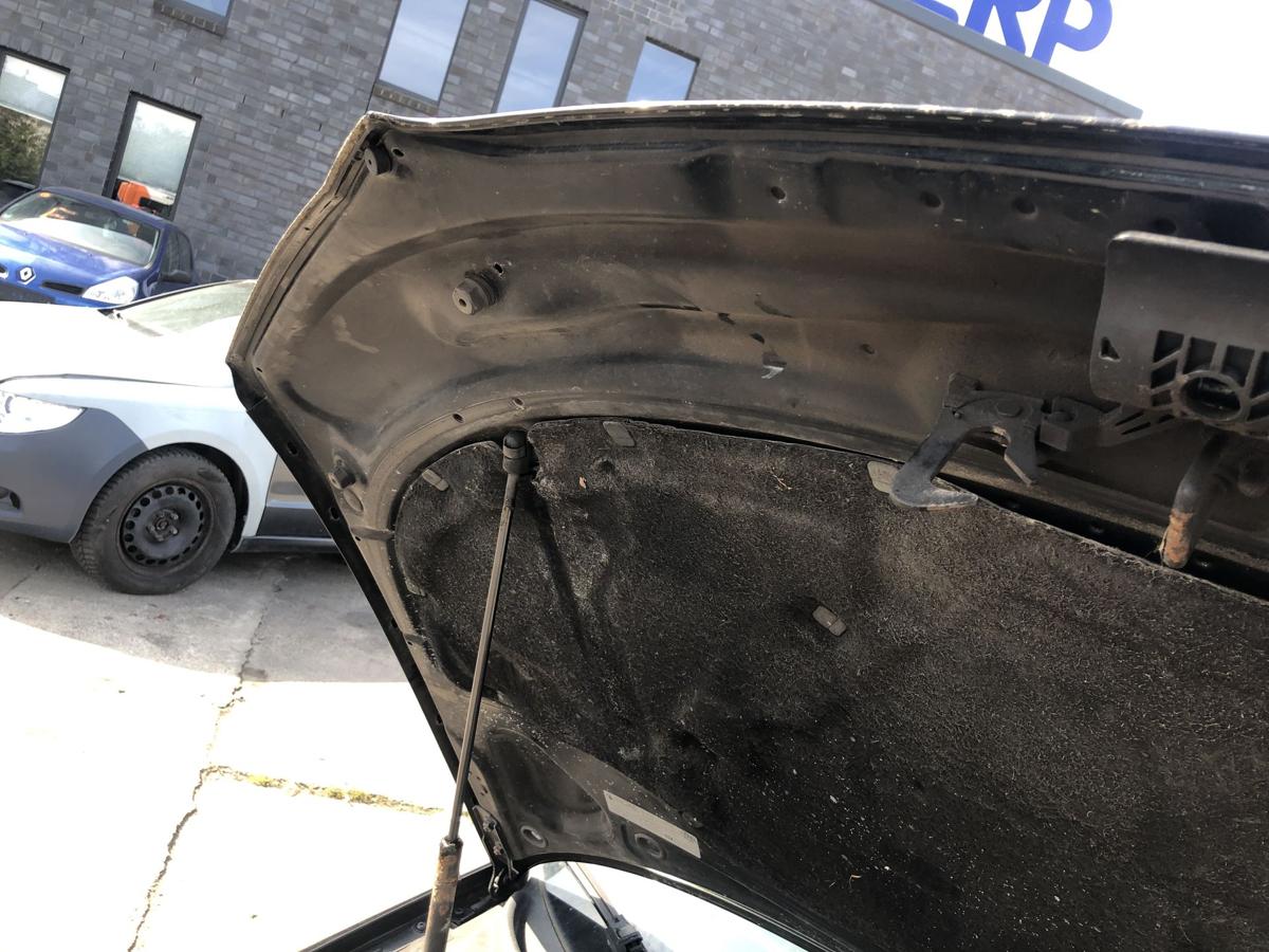 Audi A3 8P bis 2005 Motorhaube Haube Klappe Deckel vorn LZ9W Ebonyschwarz