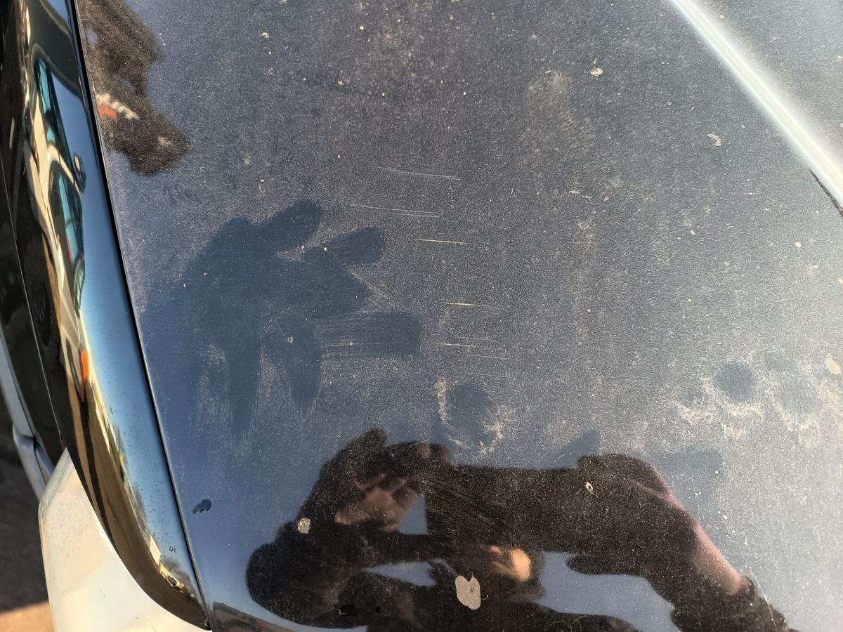 Ford Maverick II original Motorhaube Klappe/Deckel vorn/Front Ebonyschwarz Bj 05