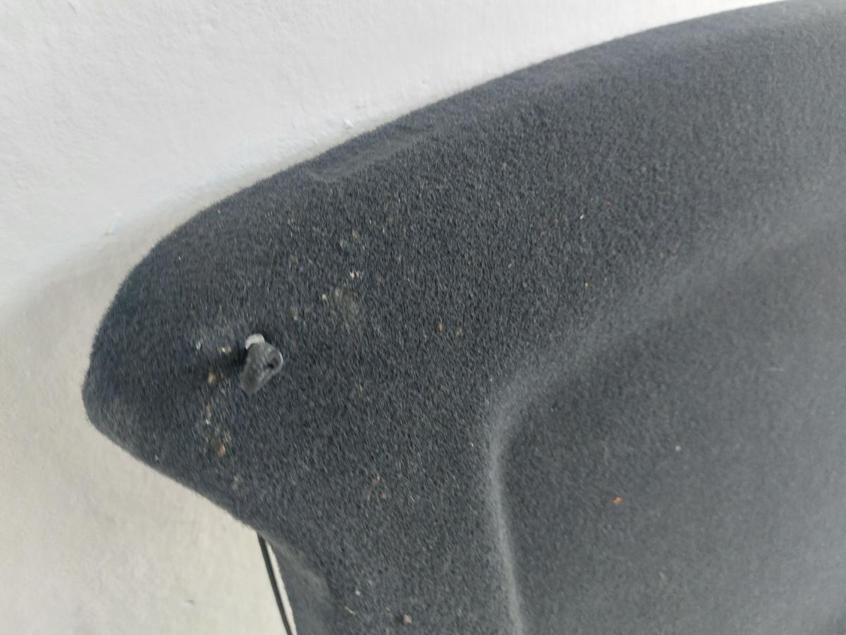Skoda Fabia 6Y Hutablage Heckablage Laderaumabdeckung Kofferraumabdeckung