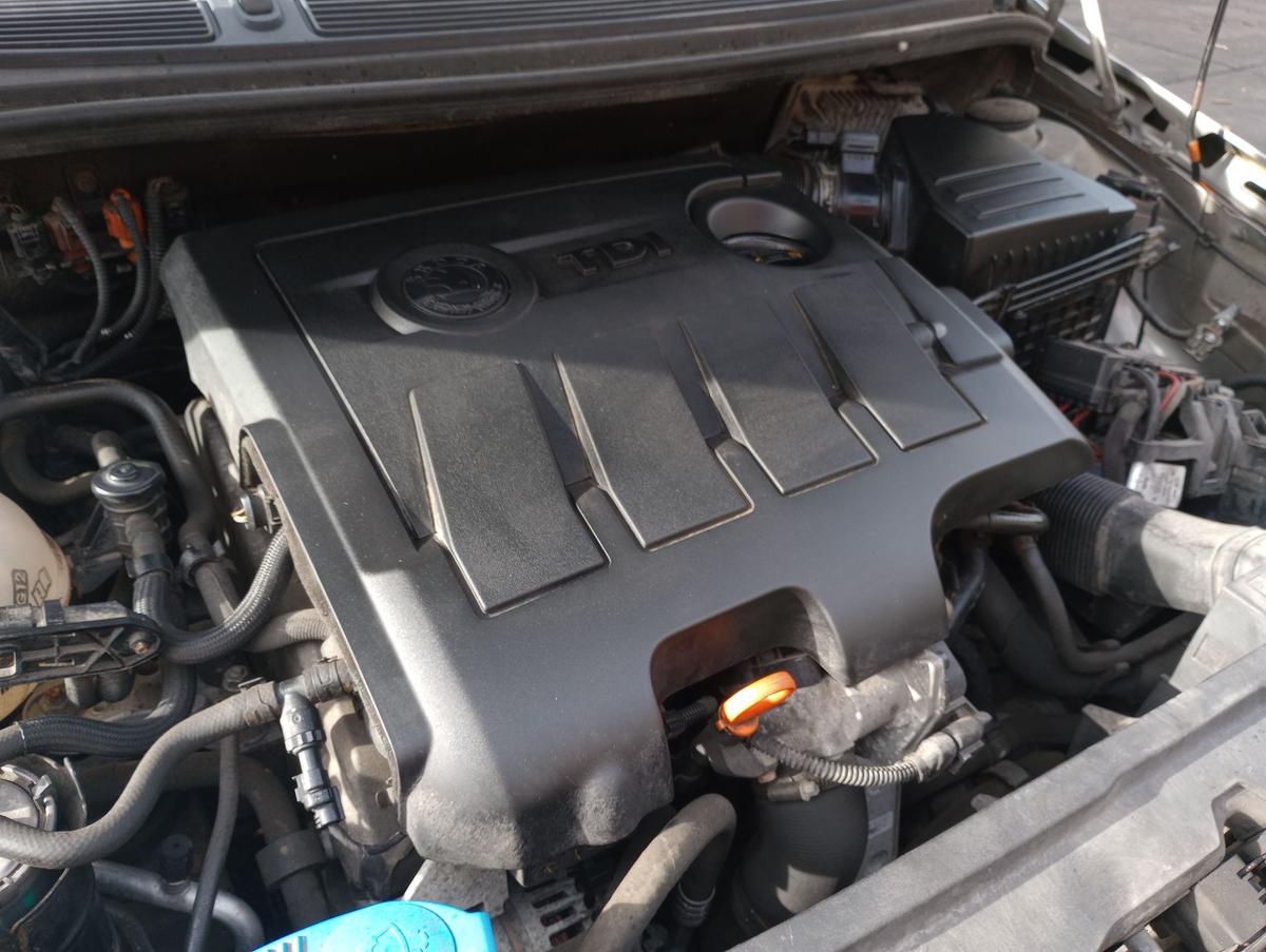 Skoda Fabia II orig Motor ohne Anbauteile 1.6l 66kW Diesel CAYB 175Tkm Bj 2010