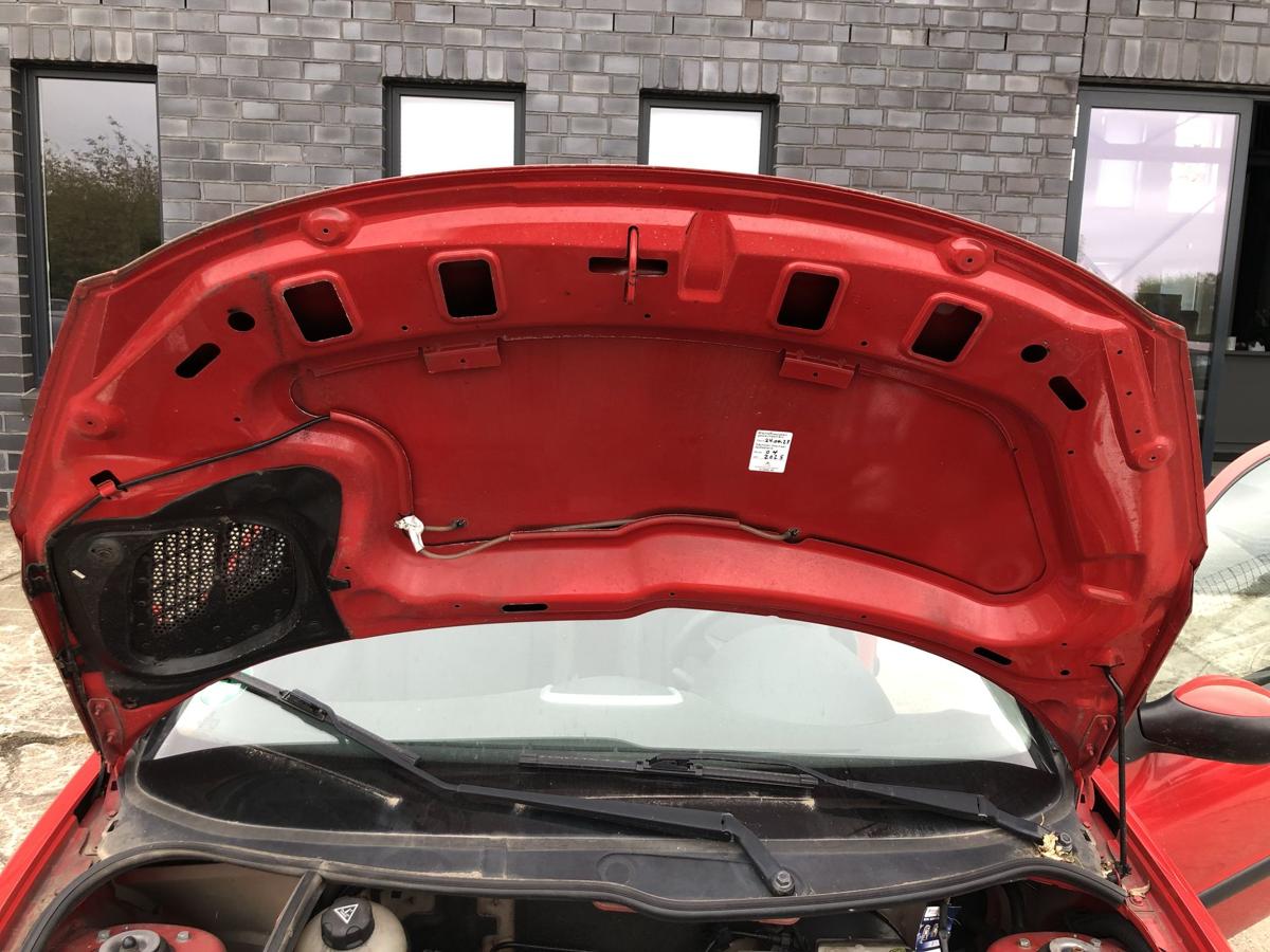 Peugeot 206+ Motorhaube Haube Klappe Deckel vorn KKN Rouge Aden