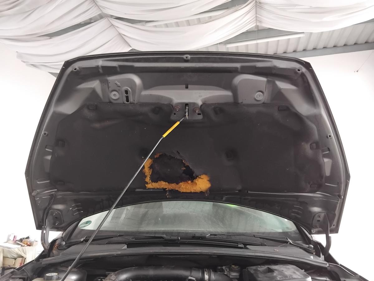 Ford Focus 3 Facelift orig Motorhaube Deckel vorn magneticgraumetallic BJ2015