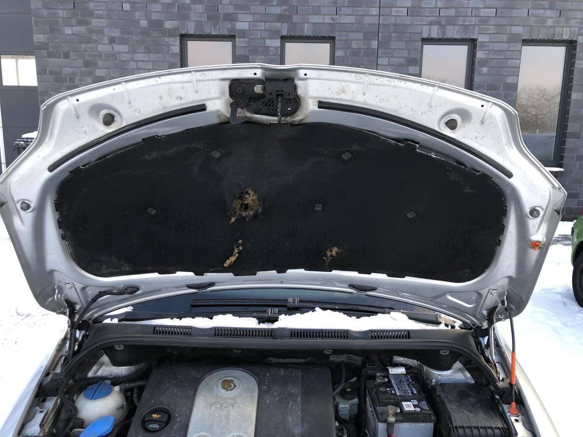 VW Golf Plus 5M Motorhaube Bonnet LA7W Haube vorn Deckel vorn