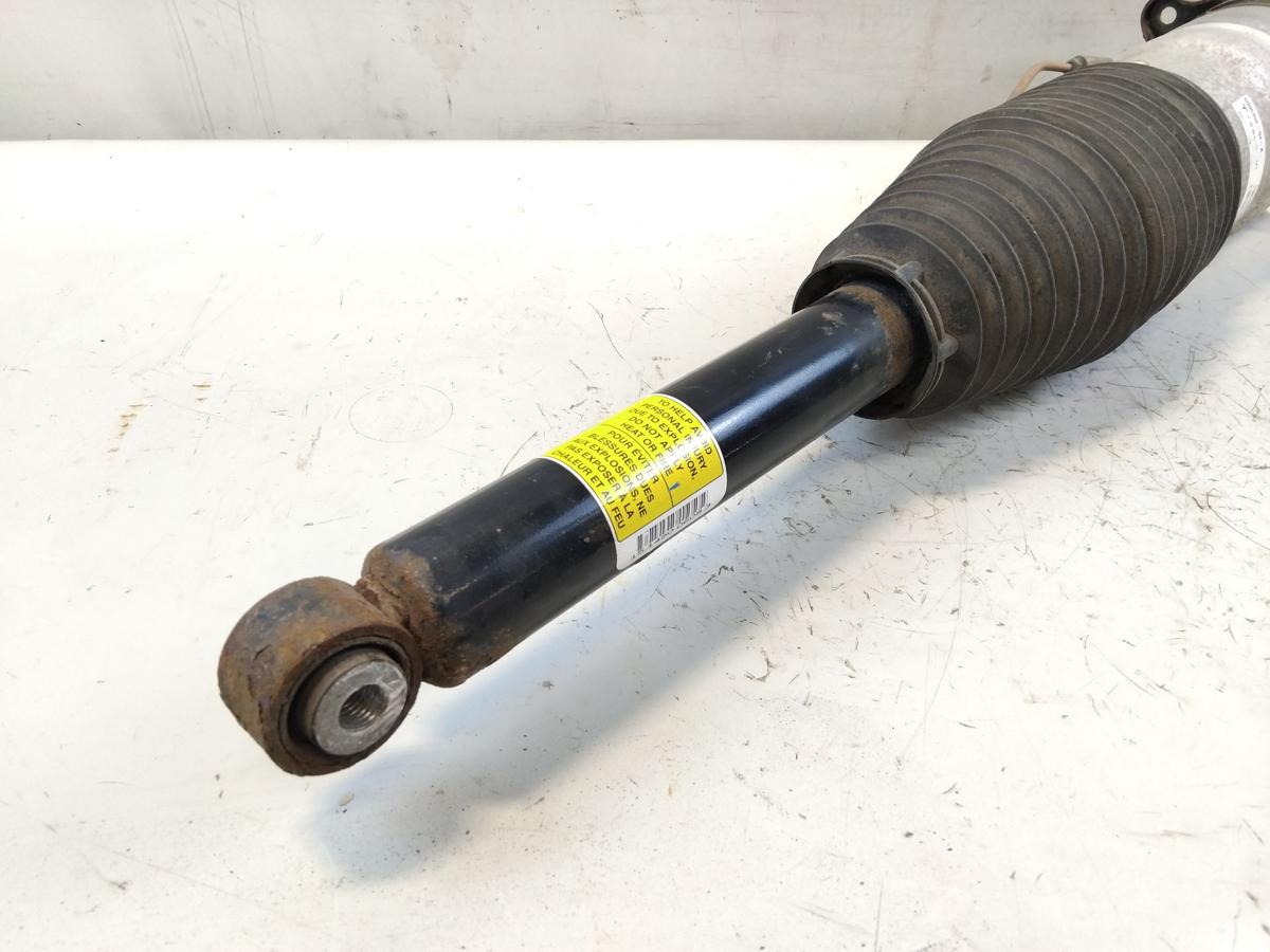 Tesla Model S orig Luftfederbein Federelement hinten links 600635204A BJ2014