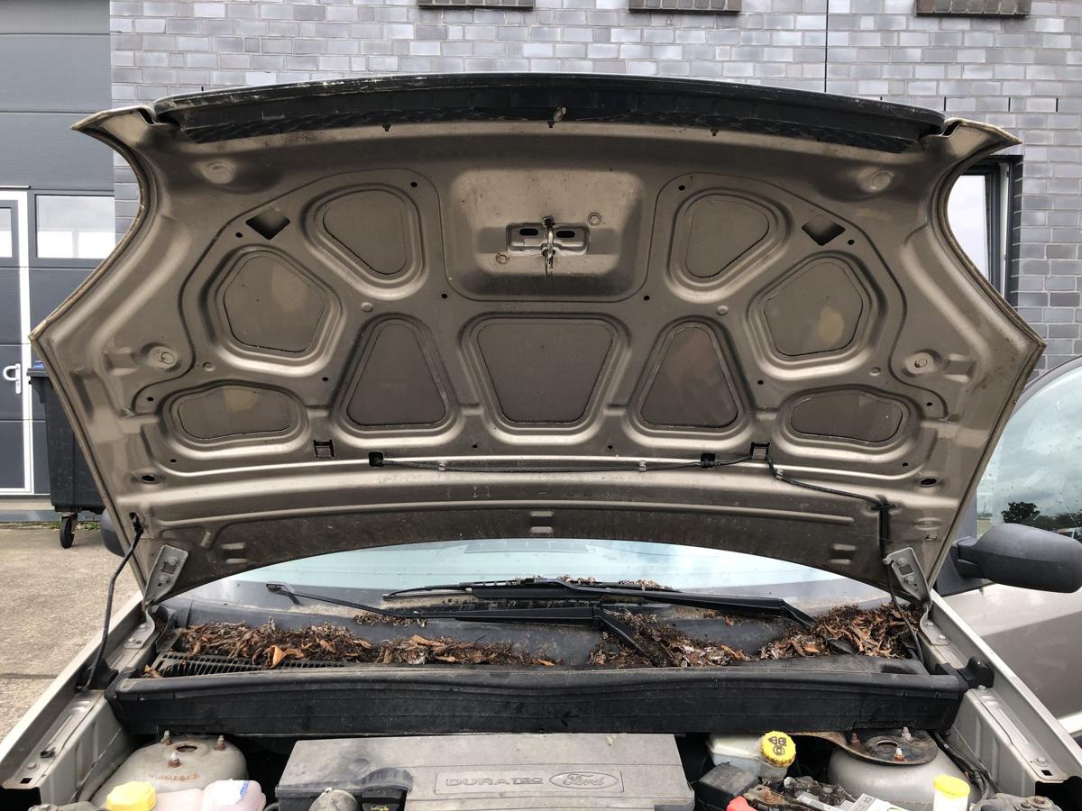 Ford Fusion JU2 Motorhaube Haube Klappe Deckel vorn Sahara Metallic