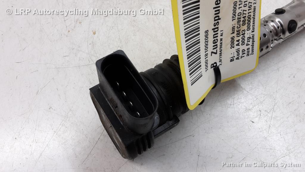 Audi A4 8EC B7 Bj.07 Zündspule Kerzenstecker 2.0 96kw *ALT* 06A905115D