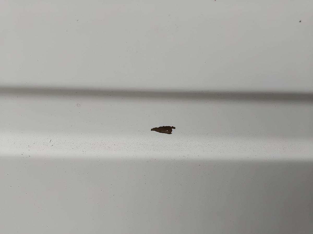 Mercedes Benz Vito 638 Kastenwagen Heckklappe arktikweiss 9147 BJ2003 M&auml;ngel