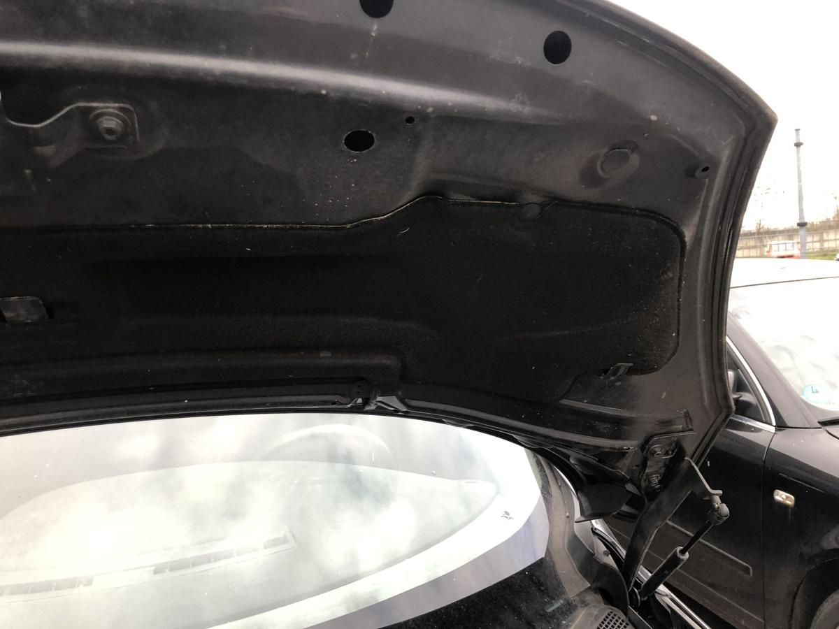 Renault Grand Scenic 3 III JZ Motorhaube TEB66 Haube Bonnet Deckel vorn