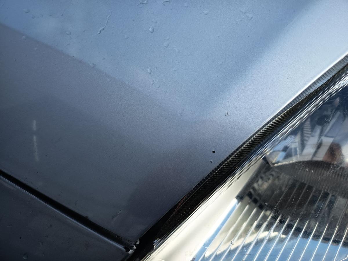 Fiat Grande Punto 199 original Motorhaube vorn Front 589/A Jungle grey Bj 2009