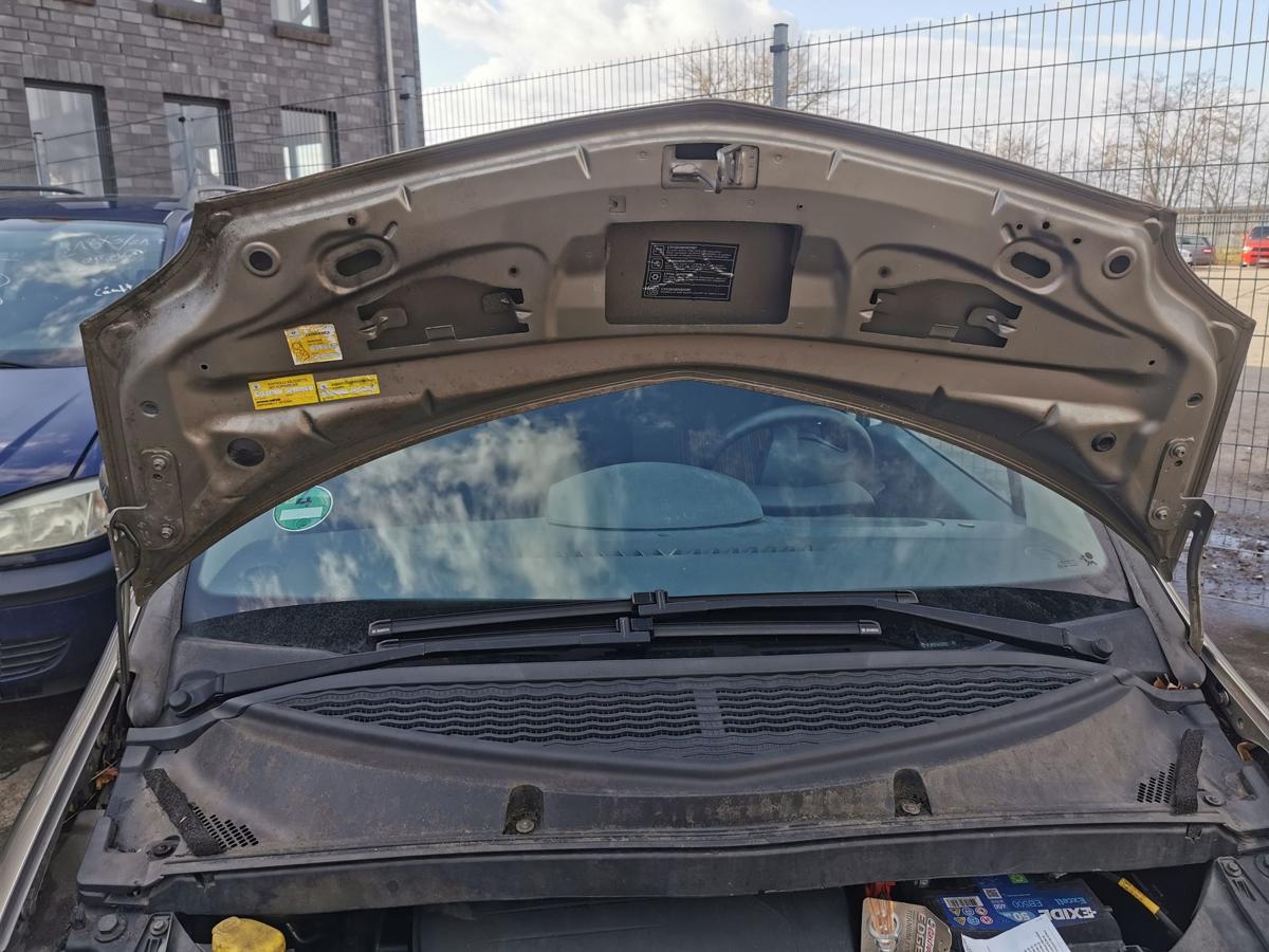 Renault Modus Motorhaube Haube Klappe Deckel Bonnet vorn TEHNK Atacama Beige