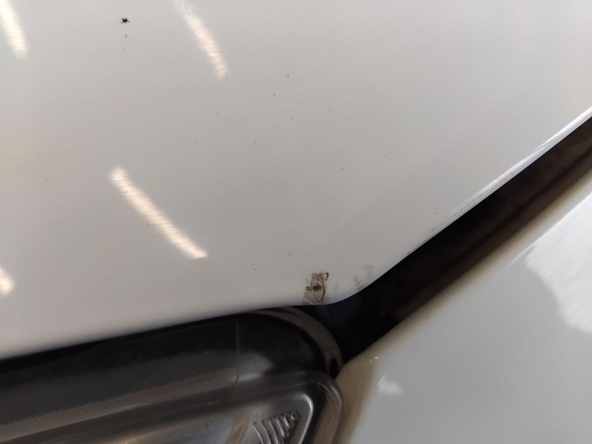 Ford Focus 3 DYB original Motorhaube Deckel vorn frostweiss BJ2013