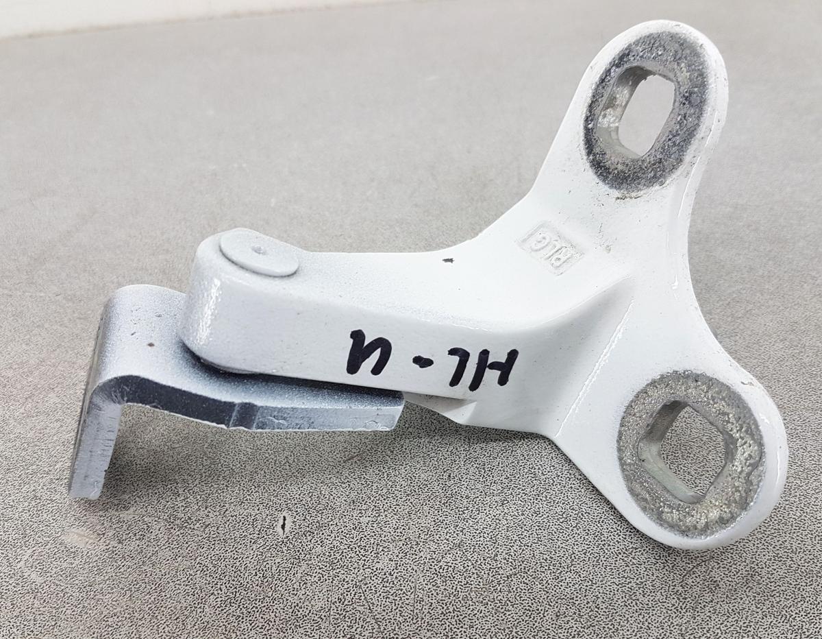 Tesla Model Y Satz T&uuml;rscharniere hinten links Bj2022 in PPSW White Water Pearl
