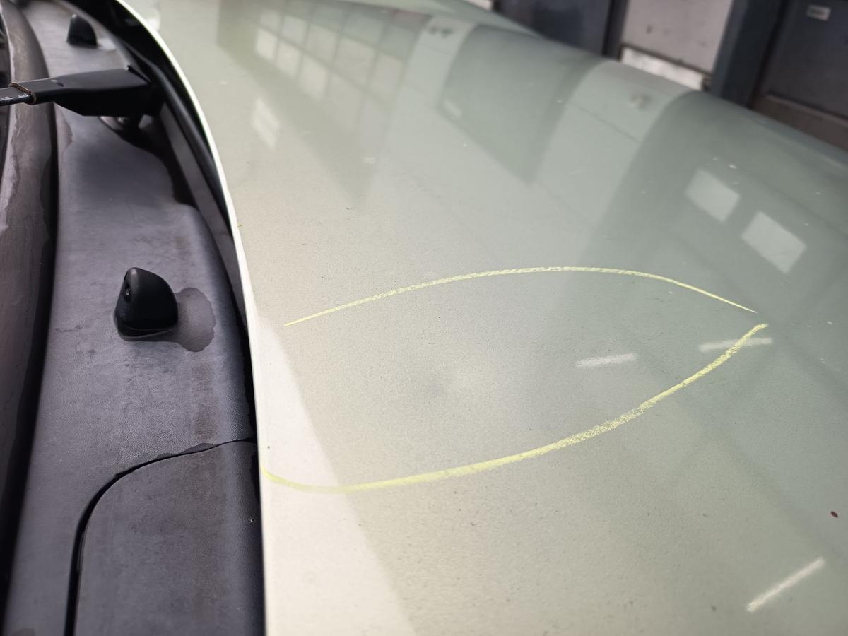 Renault Kangoo 1 original Motorhaube Klappe/Deckel vorn/Front NV191 Beige Bj2001