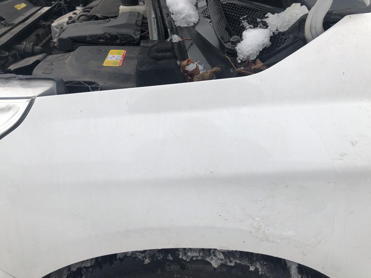 Citroen C4 II Typ N Kotfl&uuml;gel vorn links Fahrerseite EWP weiss Banquise