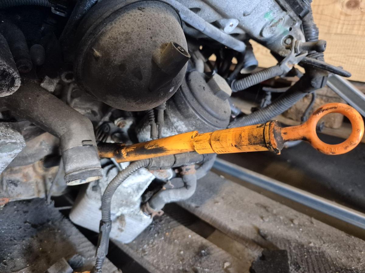 VW Sharan 7M Motor Engine 1,9TDI 96kw Motorcode ASZ BJ2005 eingeschränkte Gewährleistung