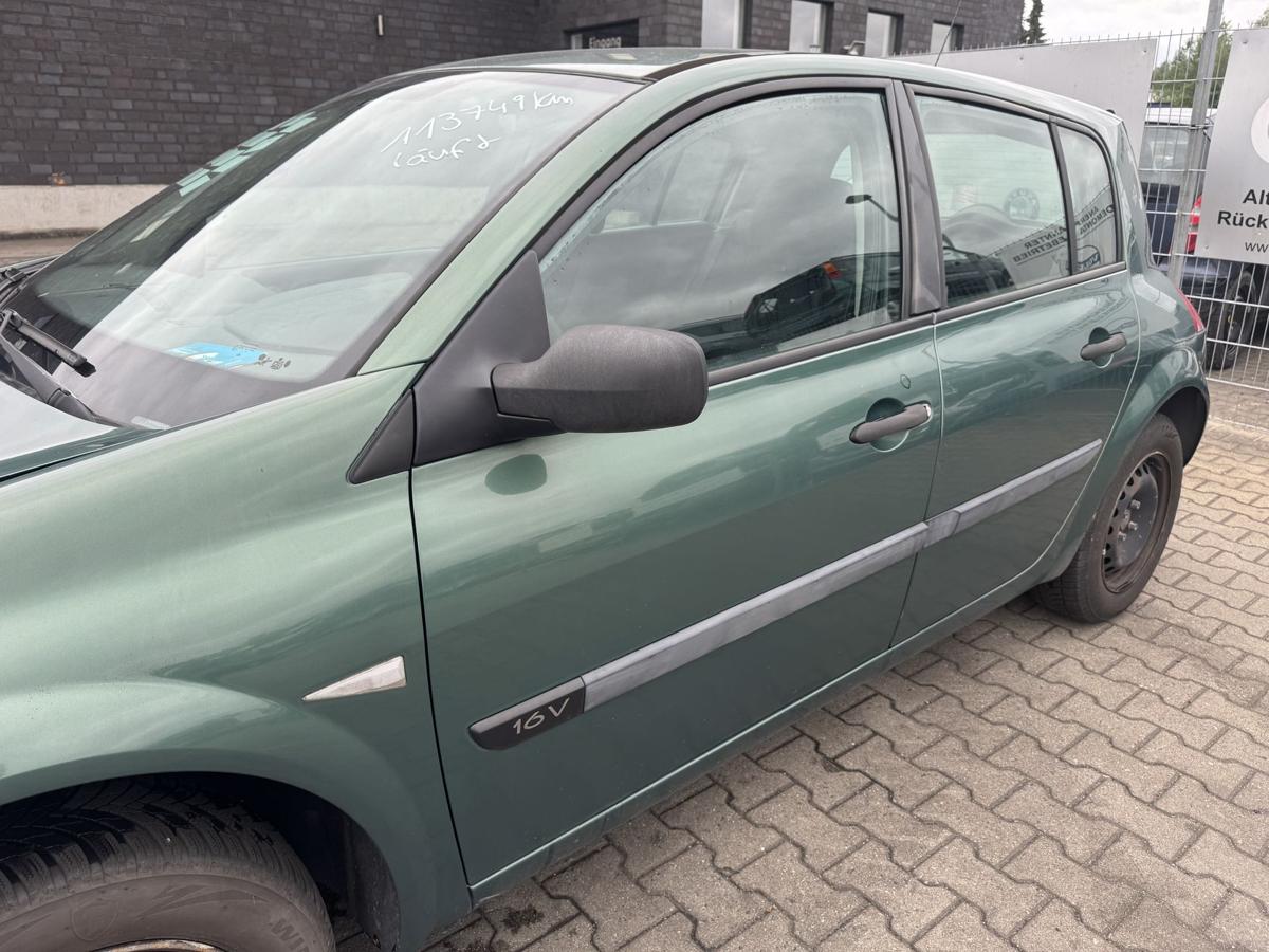 Renault Megane 2 original T&uuml;r vorn links D96 Vert Giverny Metallic Rohbau Bj.2004
