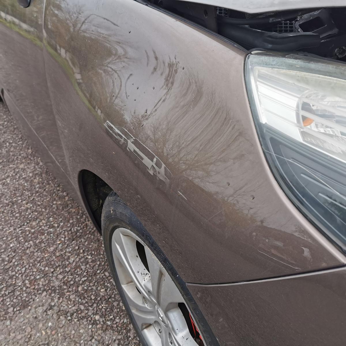 Renault Grand Scenic JZ Kotflügel Fender vorn rechts CNB Brun Moka Met