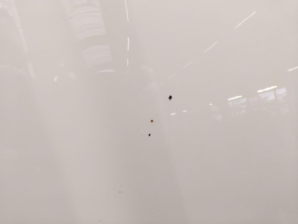 Audi A3 8P Facelift original Motorhaube ibisweiss LY9C Bj.2013