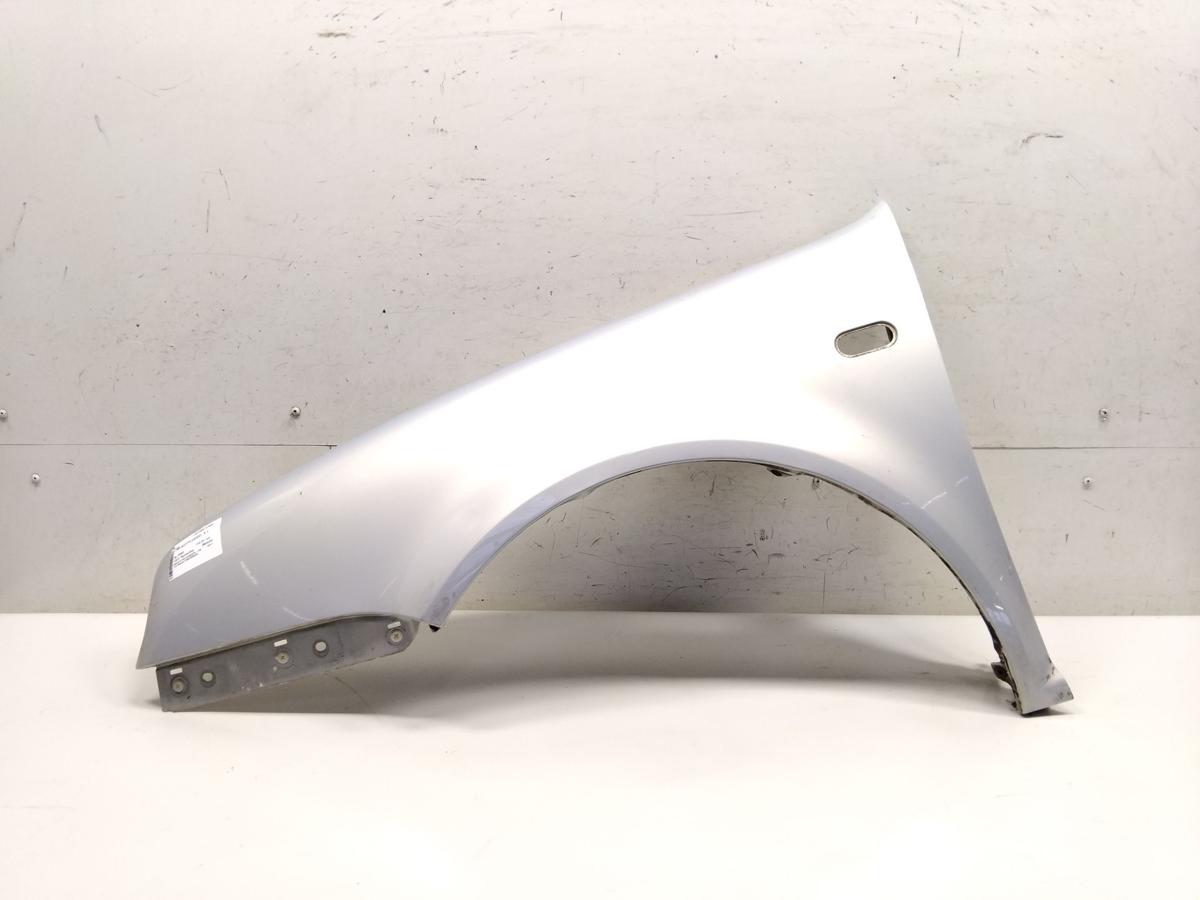 VW Golf 4 1J original Kotfl&uuml;gel vorn links LB7Z Satinsilber Metallic BJ2000