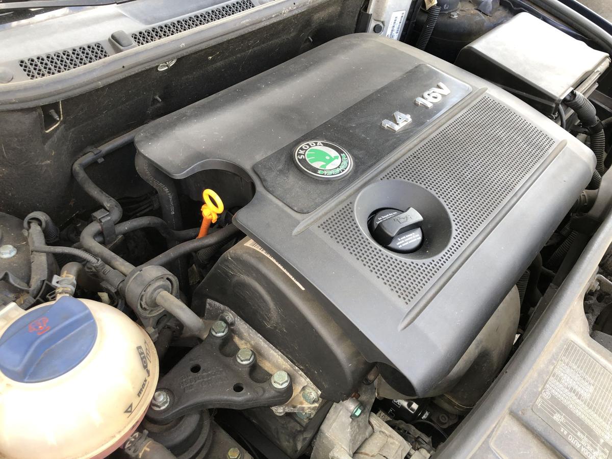 Skoda Fabia 6Y Motor Benzinmotor 1.4 16V 55kw AUA 69tkm Test und Video