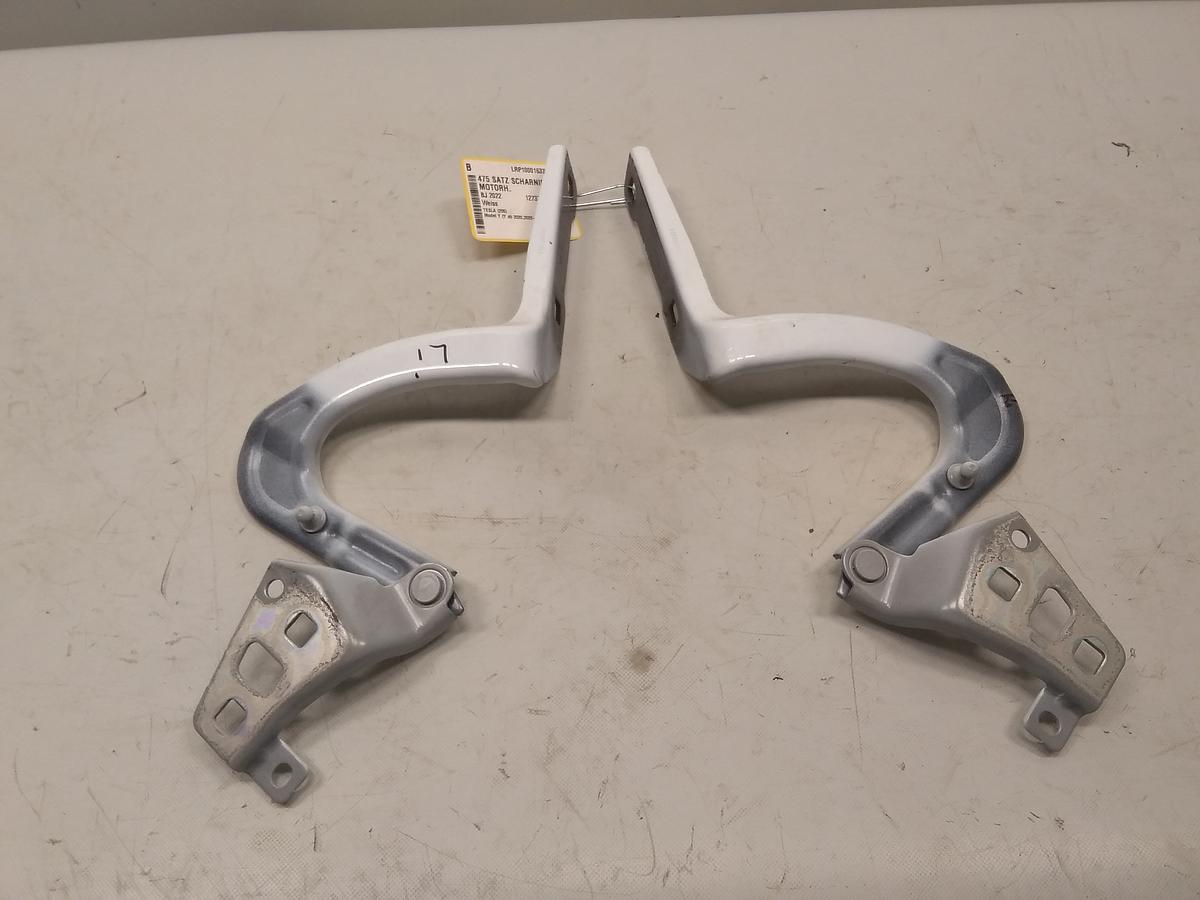 Tesla Model Y DM original Satz Scharniere Motorhaube unfallfrei