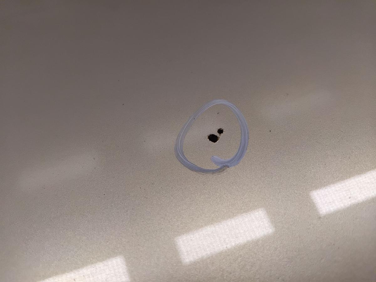 Daihatsu Sirion 2 M300 original Motorhaube T17 Champagne Opal BJ2008