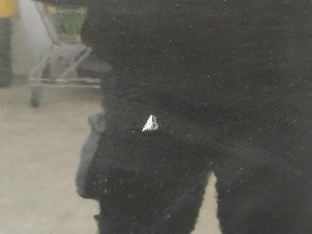 Renault Clio 3 T&uuml;r hinten links NV676 Noir Nacre BJ2008