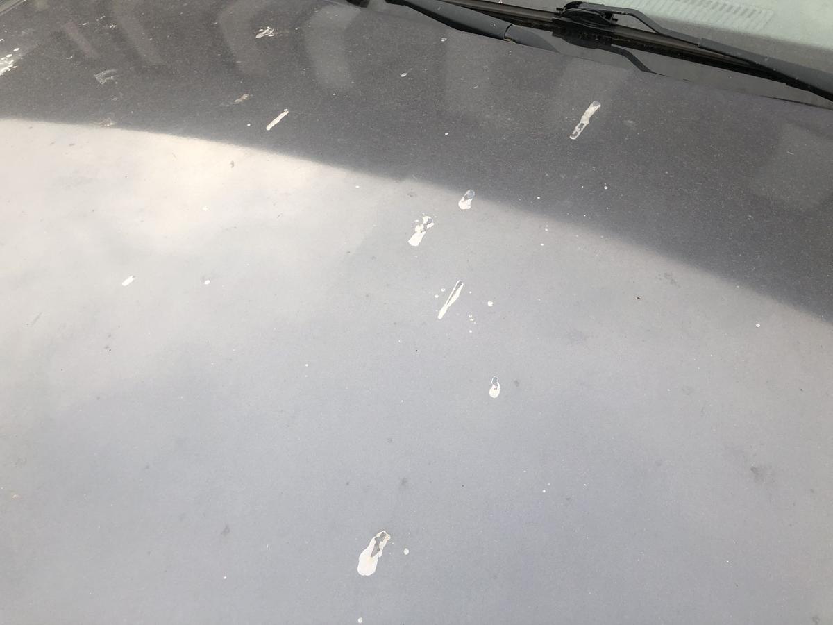 Opel Vectra C Caravan ab05 Motorhaube Haube Klappe Deckel vorn 4XU Metroblau