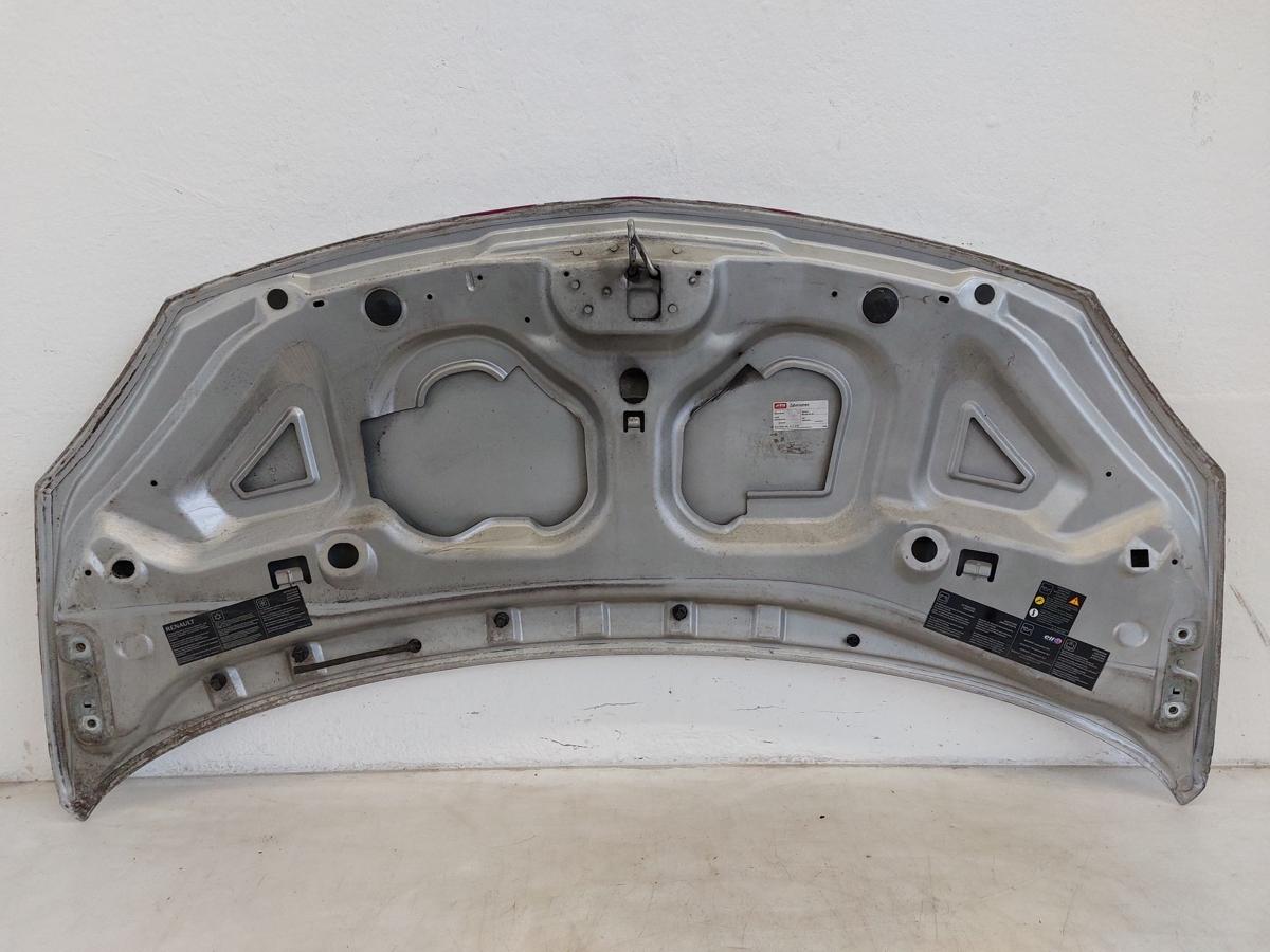 Renault Twingo 2 II CN GT Motorhaube Haube Klappe Deckel vorn TED69 Gris Platine