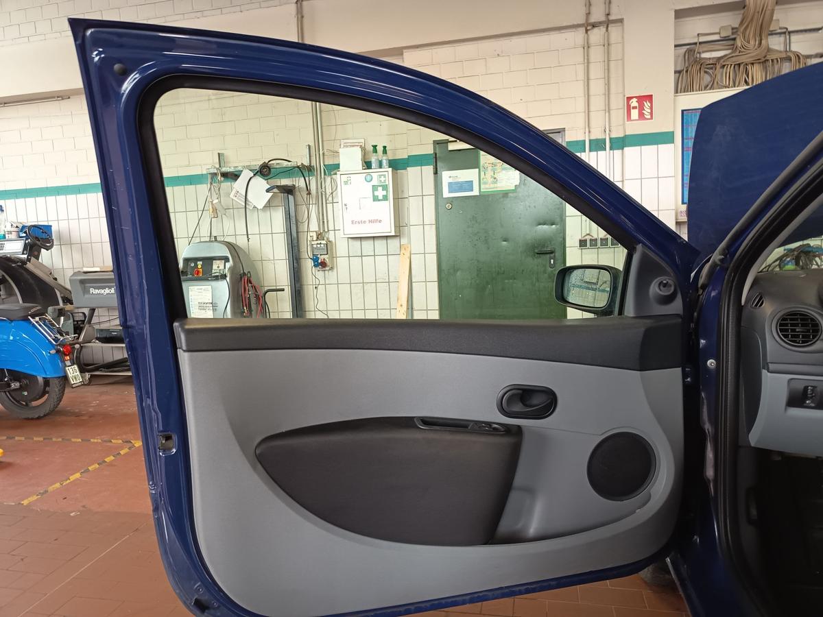 Renault Clio III orig T&uuml;r links Fahrerseite / vor Facelift bis 05/2009