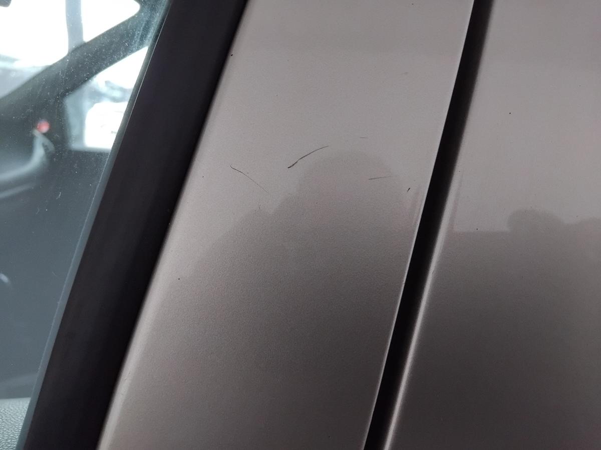 Renault Clio 3 Tür vorn links Fahrertür 5-türig TED11 Beige Poivre BJ2005