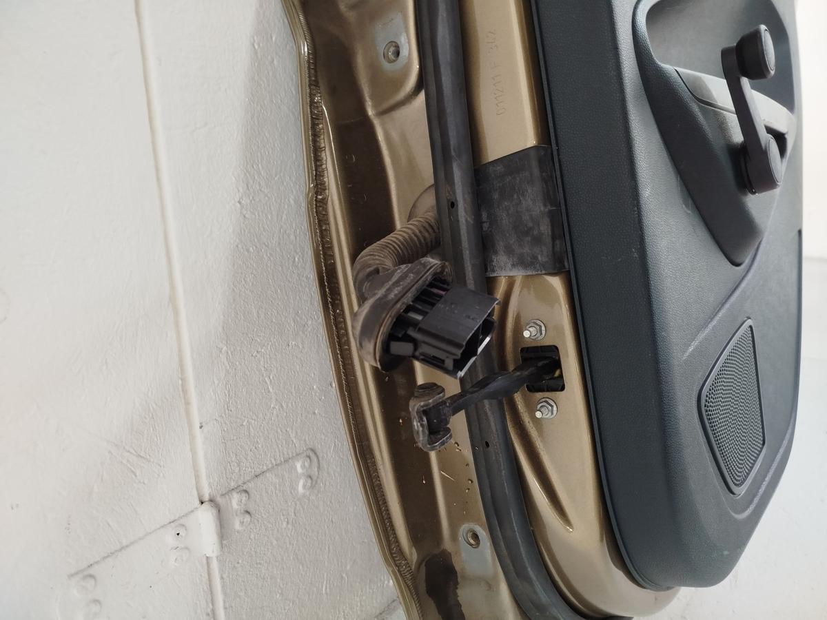 Ford Fiesta JA8 Tür Autotür Fondtür hinten rechts Rohbau Castano Braun Met