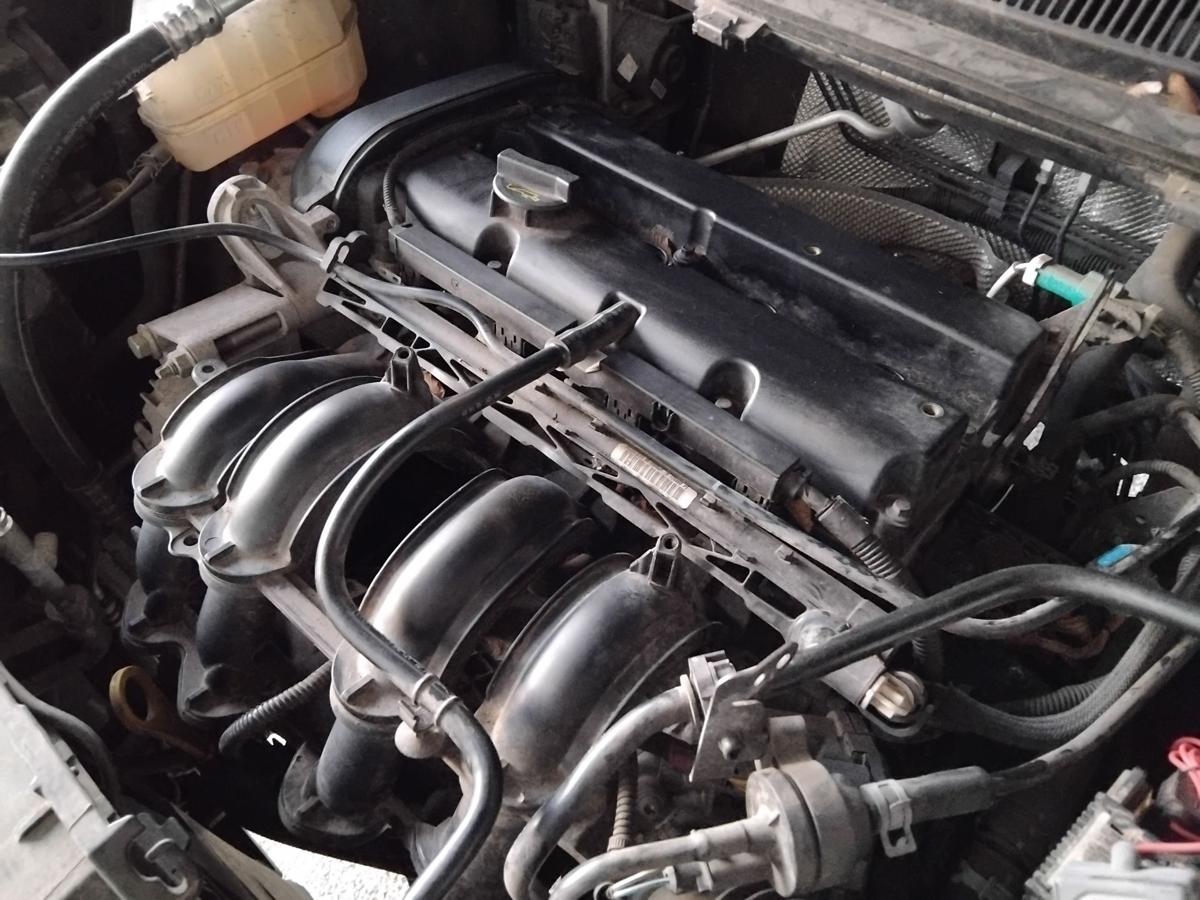 Ford Fiesta JA8 Motor Engine STJB 1.25 44kw 70801km BJ2009