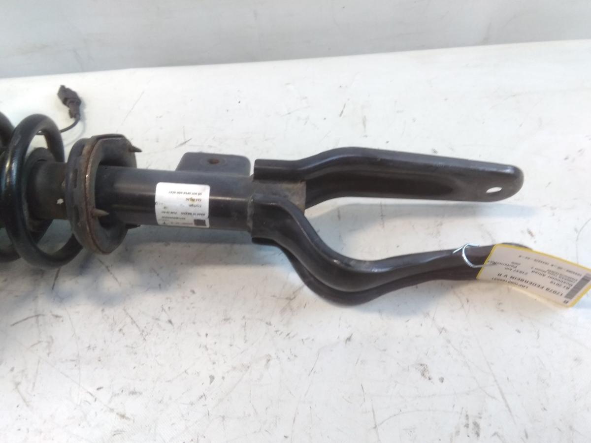 Tesla Model 3 Performance original Federbein vorn rechts 1044368-00-B BJ2019