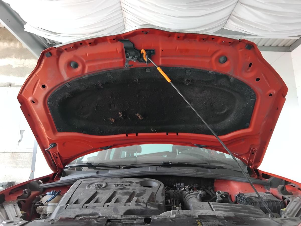 Skoda Yeti 5L original Motorhaube Deckel vorn LF3K Corrida Red BJ2010