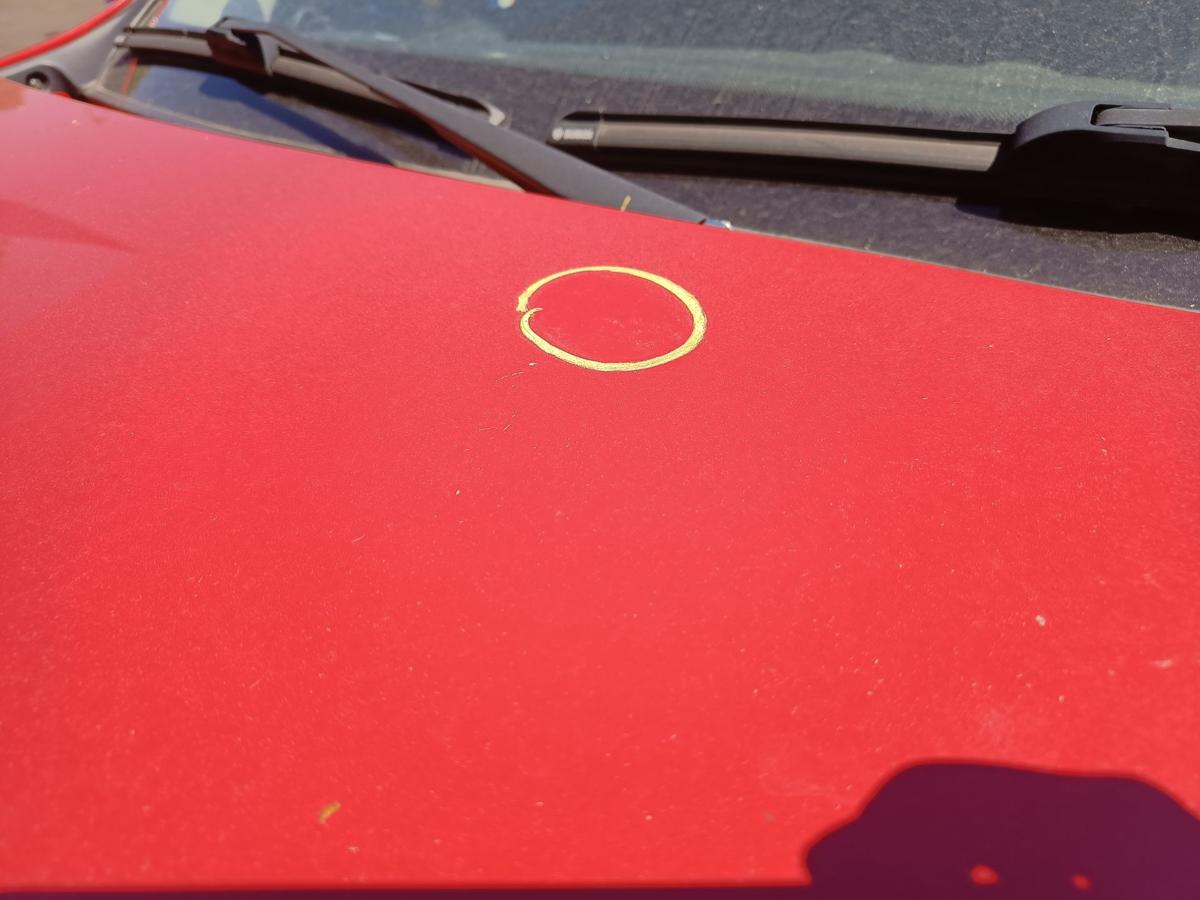 Dacia Sandero original Motorhaube 21D Feuerrot Baujahr 2009