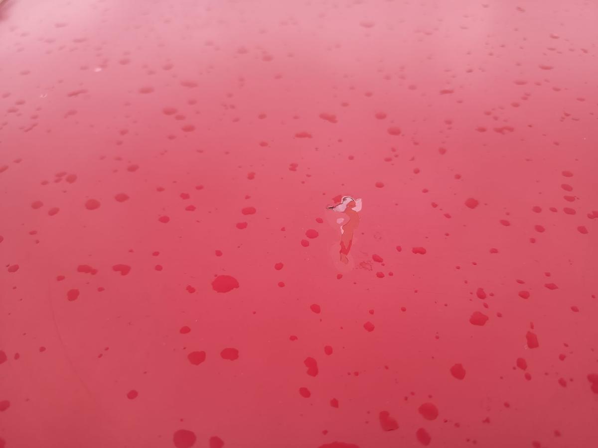 VW Fox original Motorhaube Deckel vorn Front Y3D Tornadorot Bj 2007