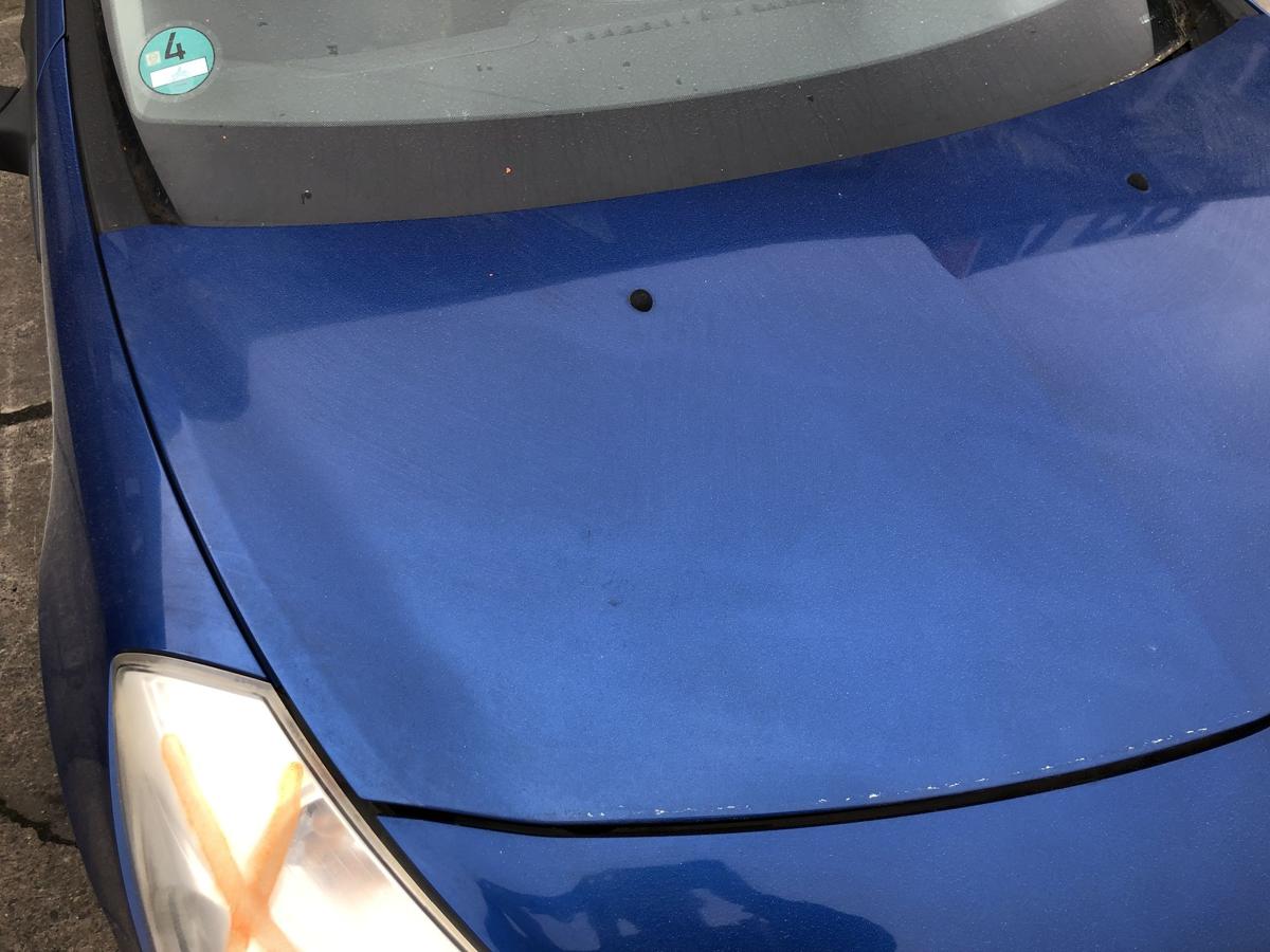 Renault Clio 3 Typ BR Motorhaube Haube Klappe Deckel vorn TERNA Blue