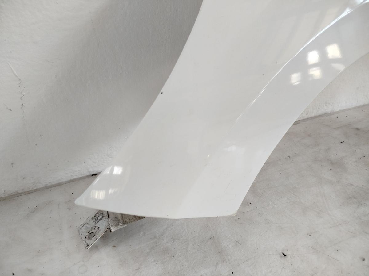 Peugeot 207 W Kotflügel Fender Seitenwand vorn links EWP WEISS BANQUISE