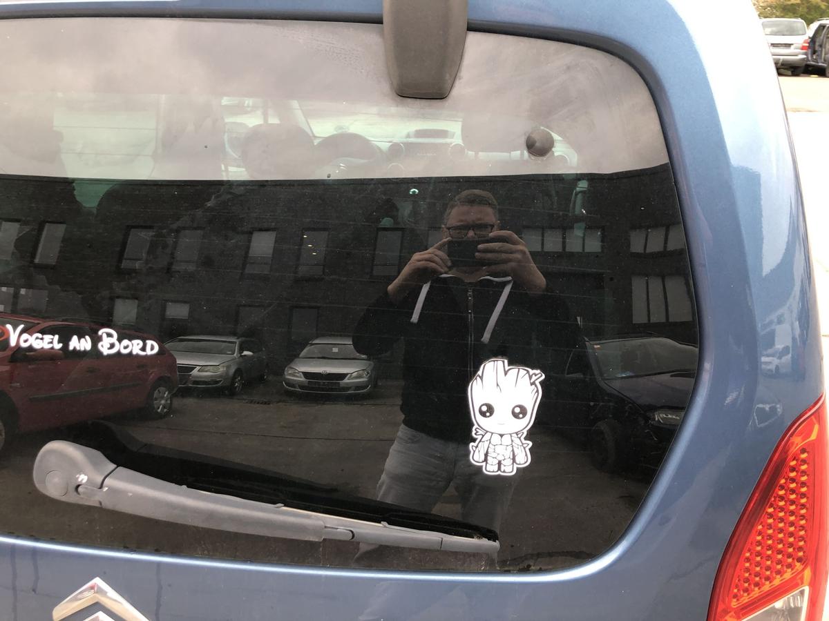 Citroen Berlingo B9 Multispace Heckscheibe Scheibe hinten heizbar get&ouml;nt