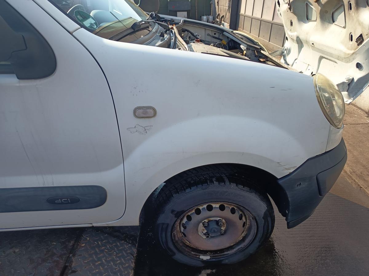 Renault Kangoo KC original Kotfl&uuml;gel rechts Seitenteil 389 Gletscherwei&szlig; Bj 2008