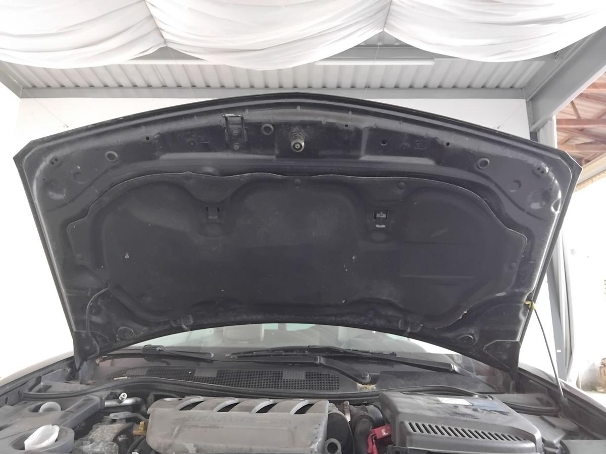 Renault Megane 2 CC Cabriolet Motorhaube Deckel vorn BJ2004 NV676 Noir Nacre