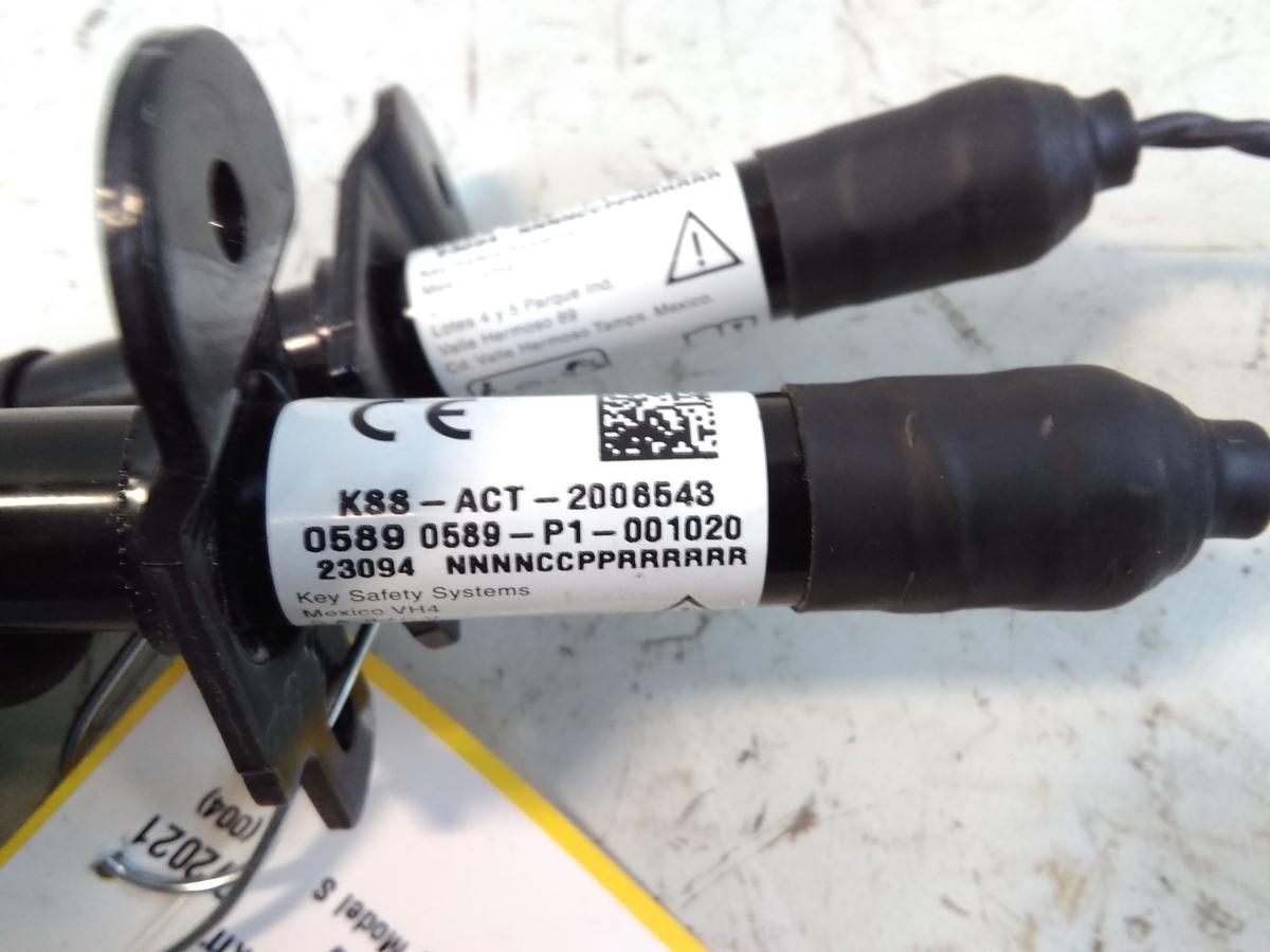 Tesla Model S Facelift original Satz Aktuatoren Motorhaube unfallfrei Bj.2023