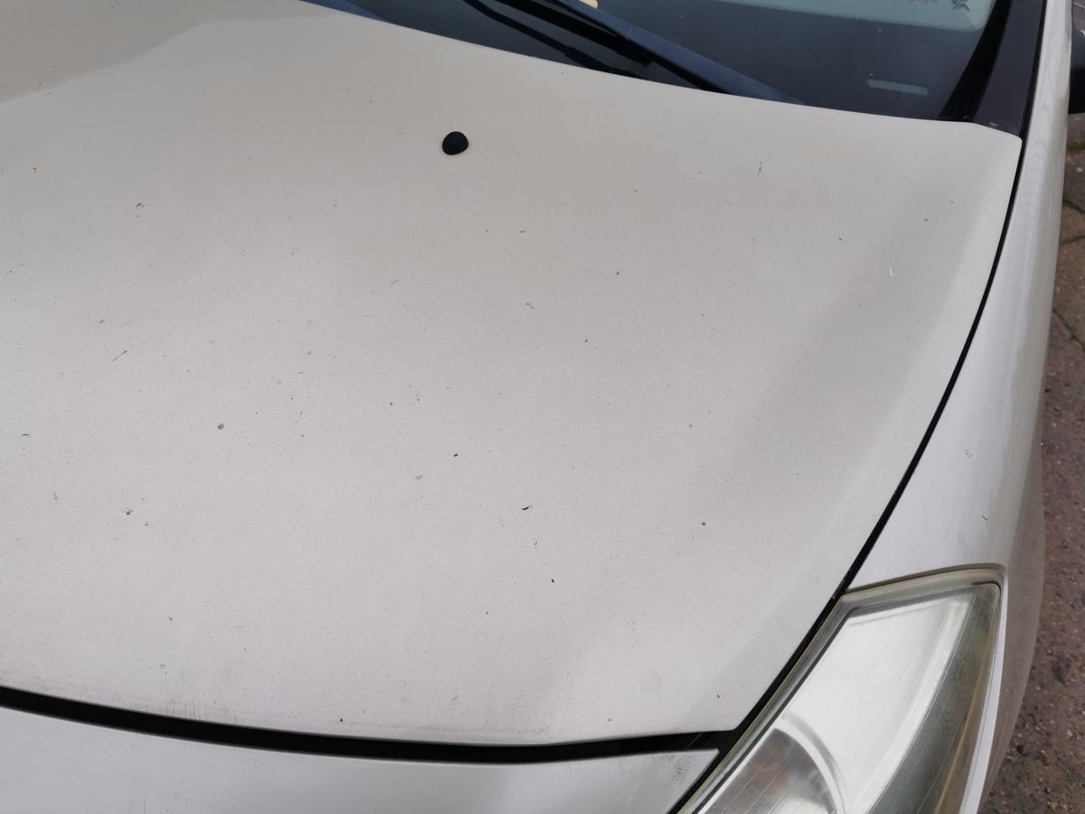 Renault Clio III Motorhaube Haube Klappe Deckel Bonnet vorn TED11 Beige Pepper