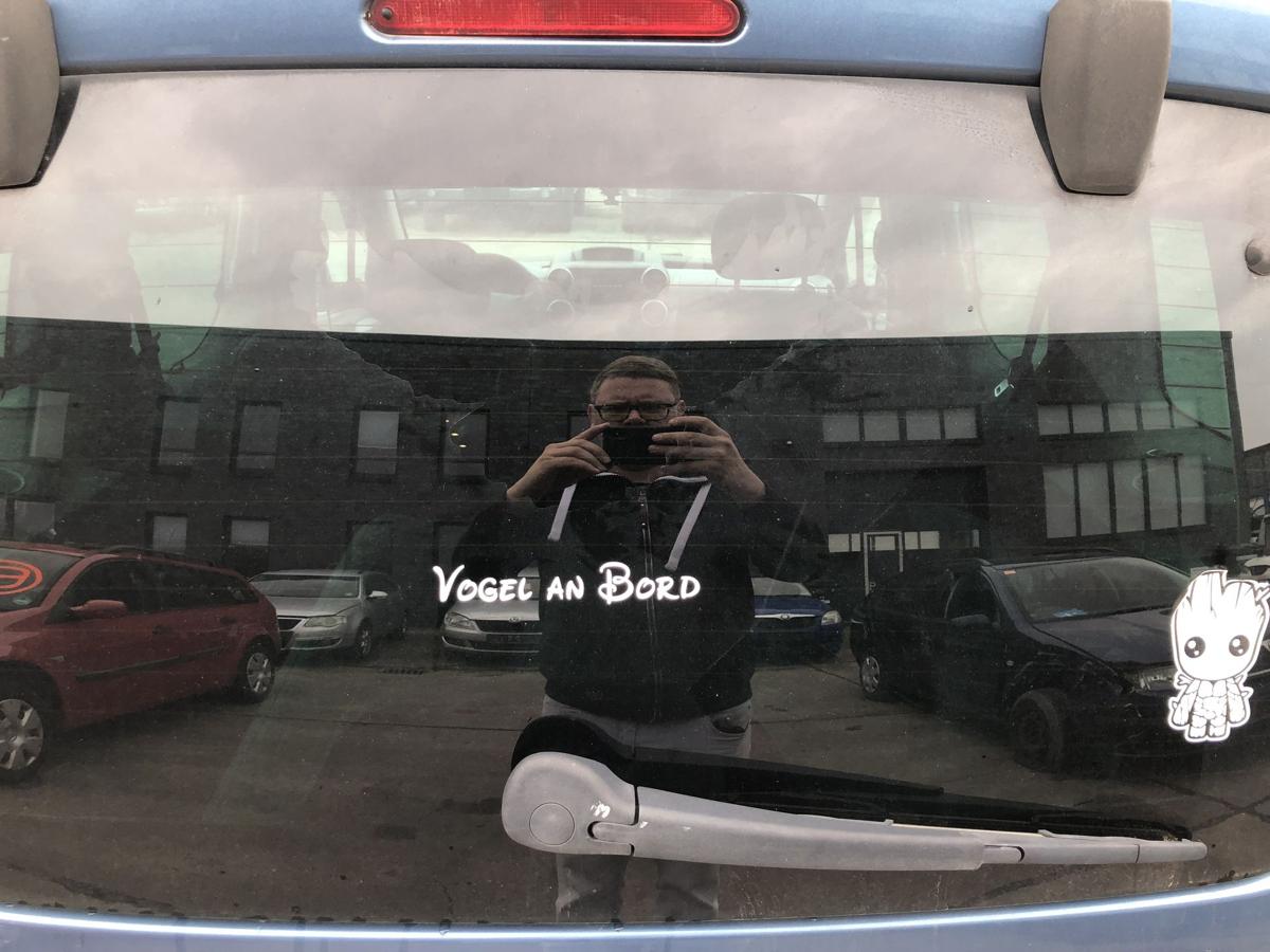 Citroen Berlingo B9 Multispace Heckscheibe Scheibe hinten heizbar get&ouml;nt
