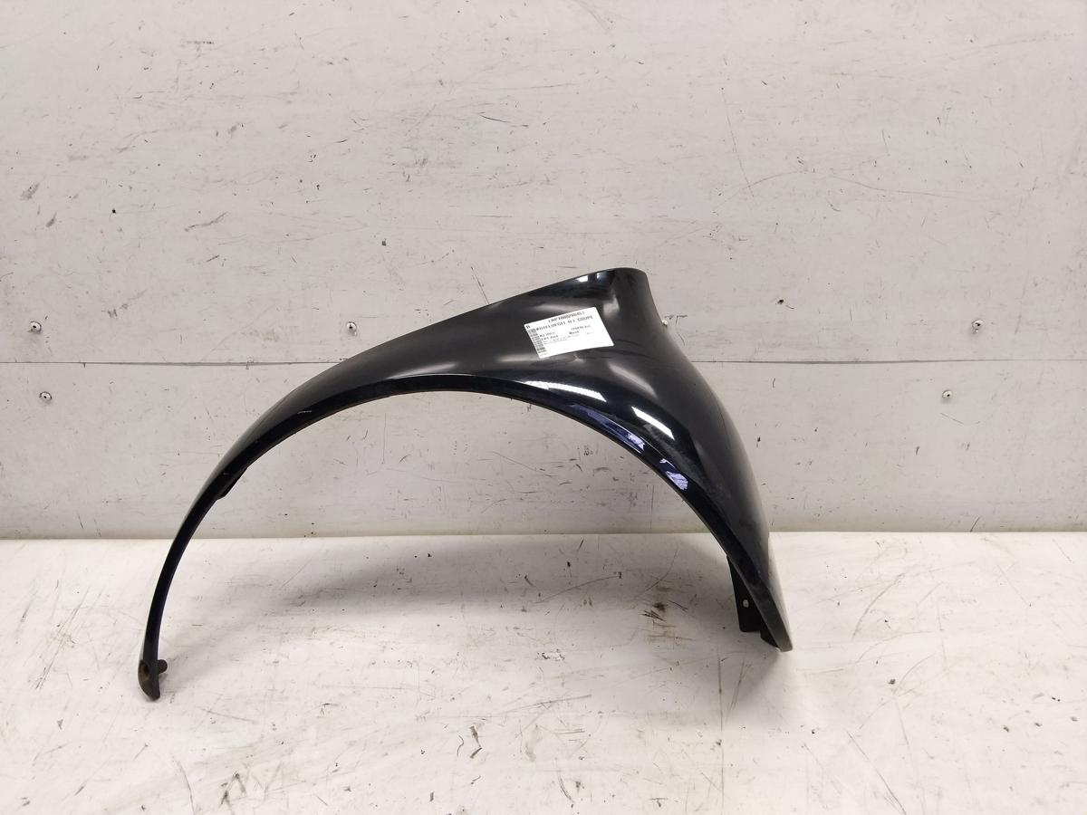 Smart Fortwo 450 Kotfl&uuml;gel Sto&szlig;f&auml;ngerecke hinten links EA4 Jack Black BJ2003