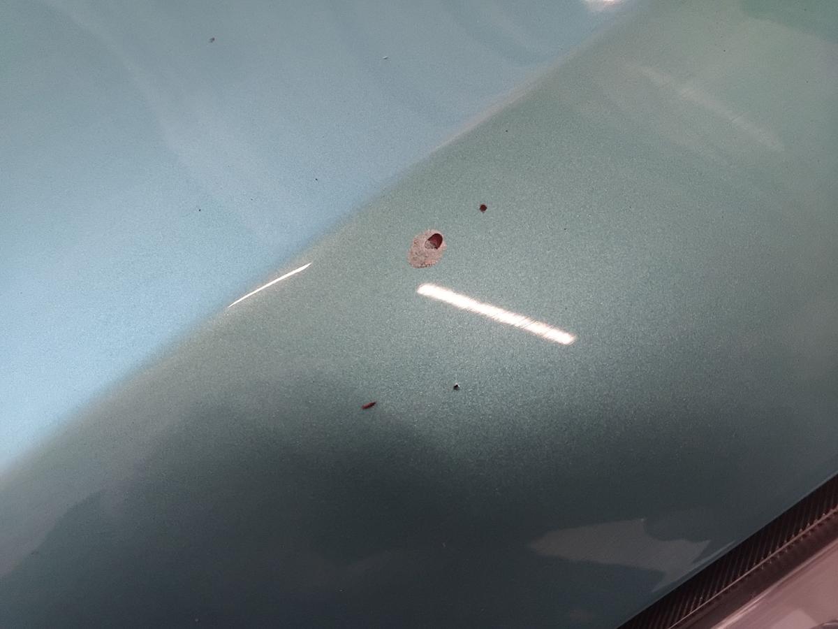 Suzuki Splash EX Motorhaube Deckel vorn ZKC Splash Turquoise Metallic BJ2008